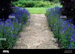 Page 2 - Crazy Paving Path High Resolution Stock Photography